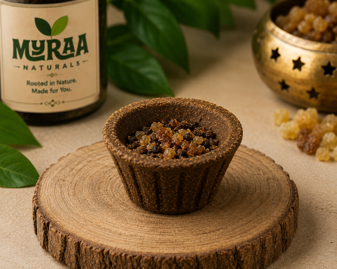 Go Divyam Sambrani from Myraa Naturals